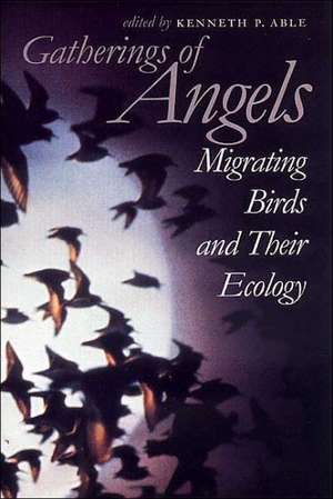 Gatherings of Angels – Migrating Birds and Their Ecology de Kenneth P. Able