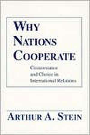 Why Nations Cooperate – Circumstance and Choice In International Relations de Arthur A. Stein