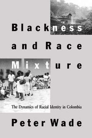 Blackness and Race Mixture de Wade