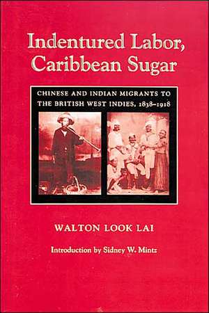 Indentured Labor, Caribbean Sugar de Look