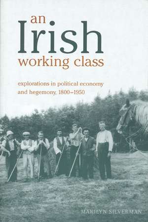 An Irish Working Class de Marilyn Silverman