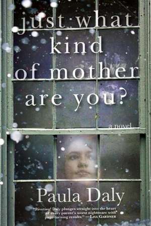 Just What Kind of Mother Are You? de Paula Daly