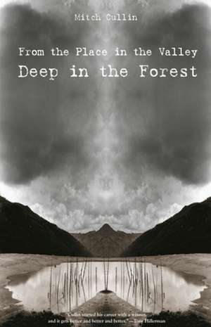 From the Place in the Valley Deep in the Forest de Mitch Cullin