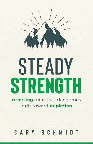 Steady Strength de Cary Schmidt