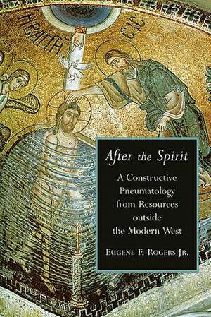 After the Spirit: A Constructive Pneumatology from Resources Outside the Modern West de Jr. Rogers, Eugene F.