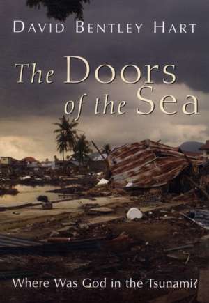 The Doors of the Sea de David Bentley Hart