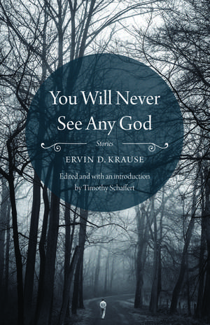 You Will Never See Any God: Stories de Ervin D. Krause