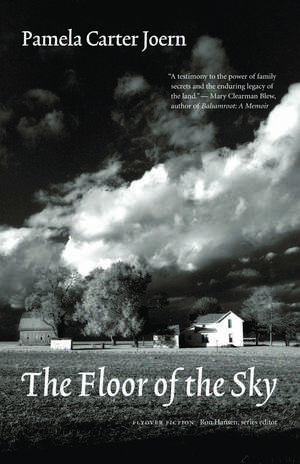 The Floor of the Sky de Pamela Carter Joern