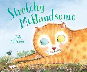 Stretchy McHandsome de Judy Schachner