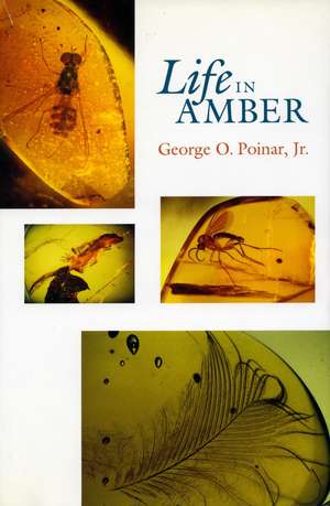 Life in Amber de George Poinar, Jr