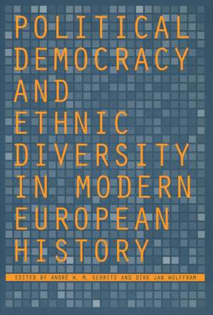 Political Democracy and Ethnic Diversity in Modern European History de André Gerrits