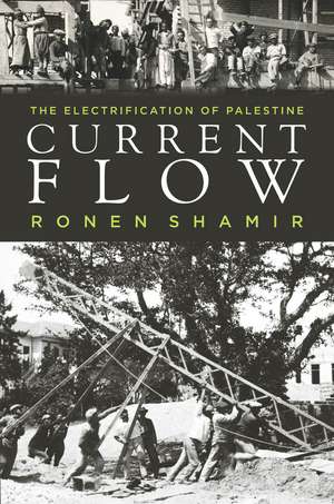 Current Flow: The Electrification of Palestine de Ronen Shamir