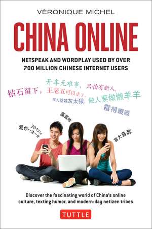 China Online: Netspeak and Wordplay Used by over 700 Million Chinese Internet Users de Veronique Michel