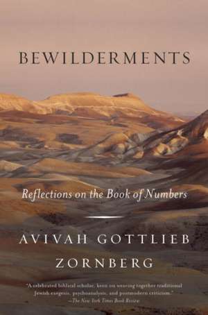 Bewilderments de Avivah Gottlieb Zornberg