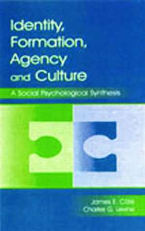 Identity, Formation, Agency, and Culture: A Social Psychological Synthesis de James E. Cote