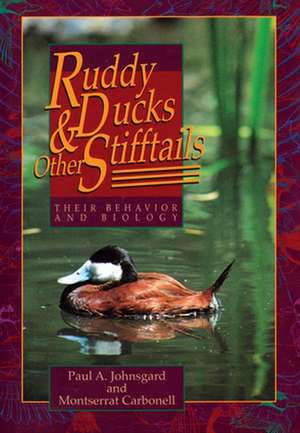 Ruddy Ducks & Other Stifftails: Their Behavior and Biology de Paul A. Johnsgard