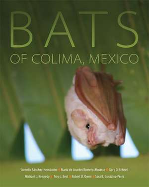 BATS OF COLIMA MEXICO V14 de Sara B. Gonzalez-Perez