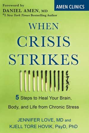 When Crisis Strikes: 5 Steps to Heal Your Brain, Body, and Life from Chronic Stress de Jennifer Love