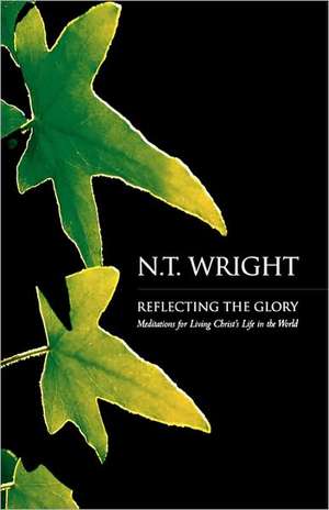 Reflecting the Glory: Lutheran Spirituality for Today de Dean N T Wright