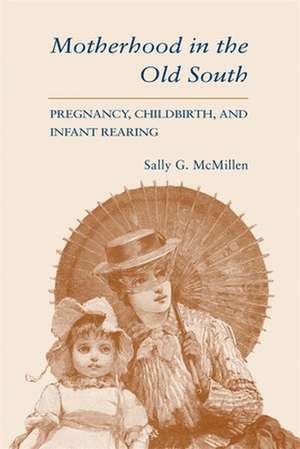 Motherhood in the Old South de Sally Gregory McMillen