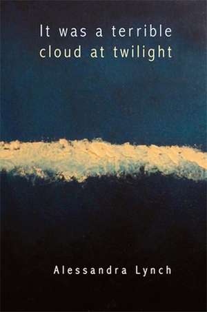 It Was a Terrible Cloud at Twilight de Alessandra Lynch