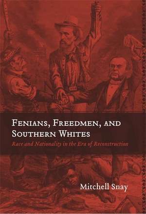 Fenians, Freedmen, and Southern Whites: Race and Nationality in the Era of Reconstruction de Mitchell Snay