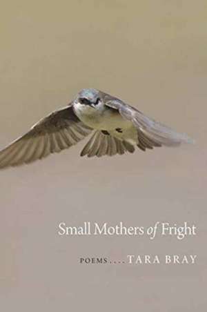 Small Mothers of Fright: Shreveport, Louisiana, 1920-1960 de Tara Bray