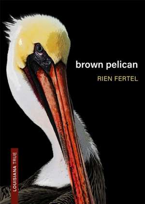 Brown Pelican de Rien Fertel