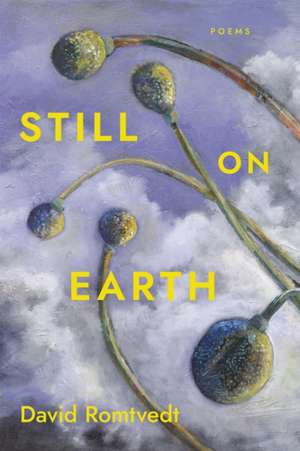Still on Earth de David Romtvedt