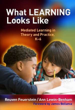 What Learning Looks Like: Mediated Learning in Theory and Practice, K-6 de Reuven Feuerstein