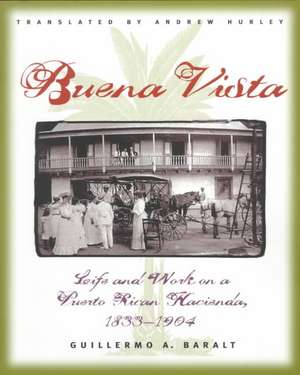 Buena Vista: Life and Work on a Puerto Rican Hacienda, 1833-1904 de Guillermo Baralt