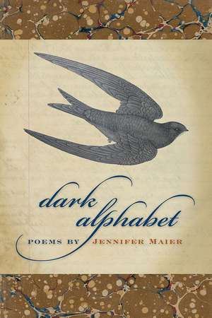 Dark Alphabet de Associate Professor Jennifer Maier