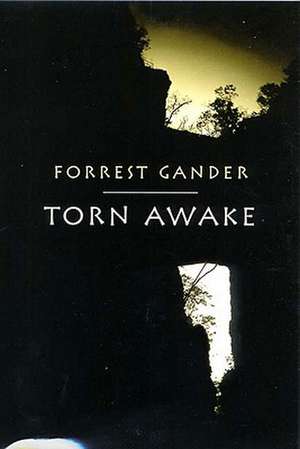 Torn Awake de Forrest Gander