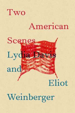 Two American Scenes de Lydia Davis