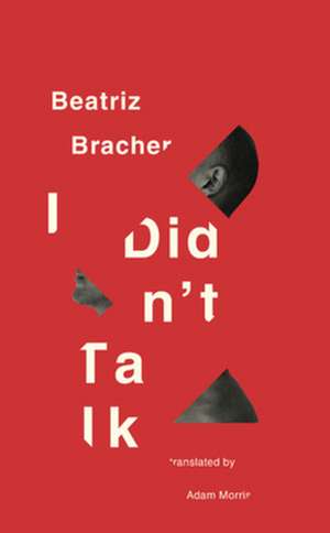 I Didn′t Talk de Beatriz Bracher