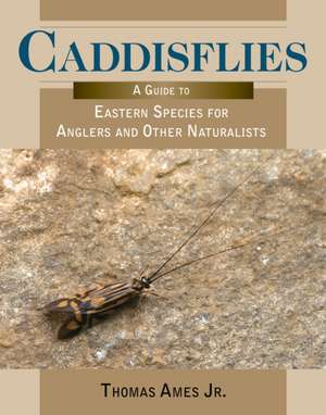 Caddisflies de ThomasJr. Ames