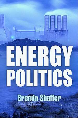 Energy Politics de Brenda Shaffer