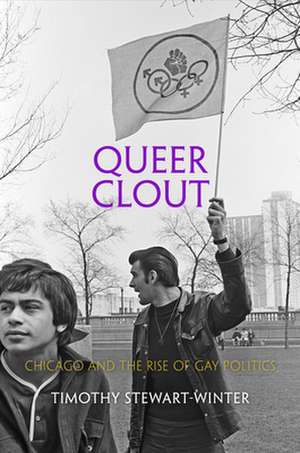 Queer Clout de Timothy Stewart-Winter