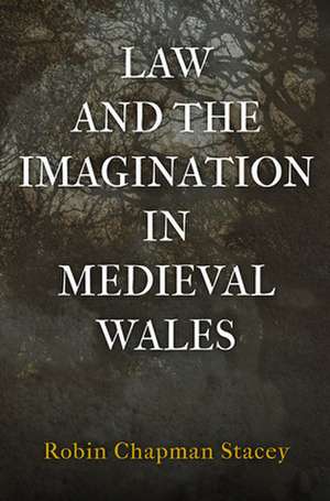 Law and the Imagination in Medieval Wales de Robin Chapman Stacey