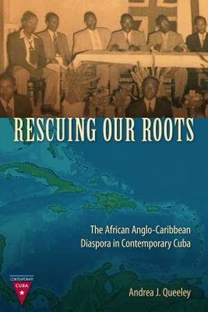 Rescuing Our Roots de Andrea J Queele