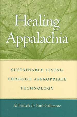 Healing Appalachia: Sustainable Living Through Appropriate Technology de Al Fritsch