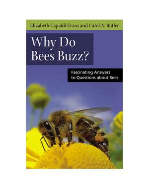 Why Do Bees Buzz?: Fascinating Answers to Questions about Bees de Professor Elizabeth Evans