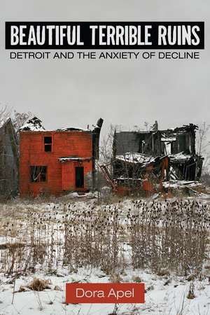 Beautiful Terrible Ruins: Detroit and the Anxiety of Decline de Dora Apel