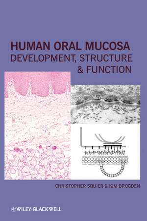 Human Oral Mucosa de C Squier