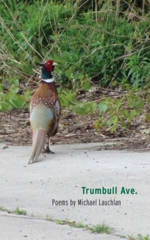 Trumbull Ave. de Michael Lauchlan