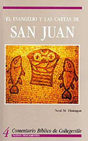 Comentario Biblico de Collegeville NT Volume 4: El Evangelio y Las Cartas de San Juan = The Gospel According to John de Neal M. O.S.M. Flanagan