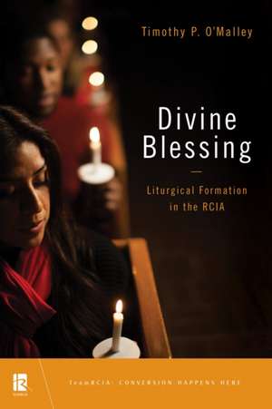 Divine Blessing de Timothy P O'Malley