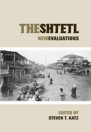 The Shtetl – New Evaluations de Steven T. Katz