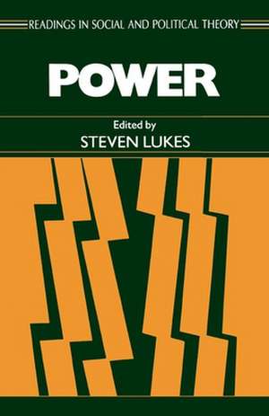 Power: A Radical View de Henry Bernstein