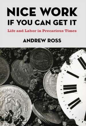 Nice Work If You Can Get It – Life and Labor in Precarious Times de Andrew Ross